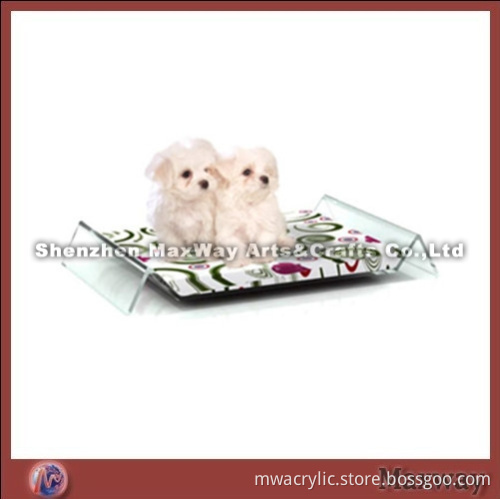 Transparent Acrylic Dog Couch